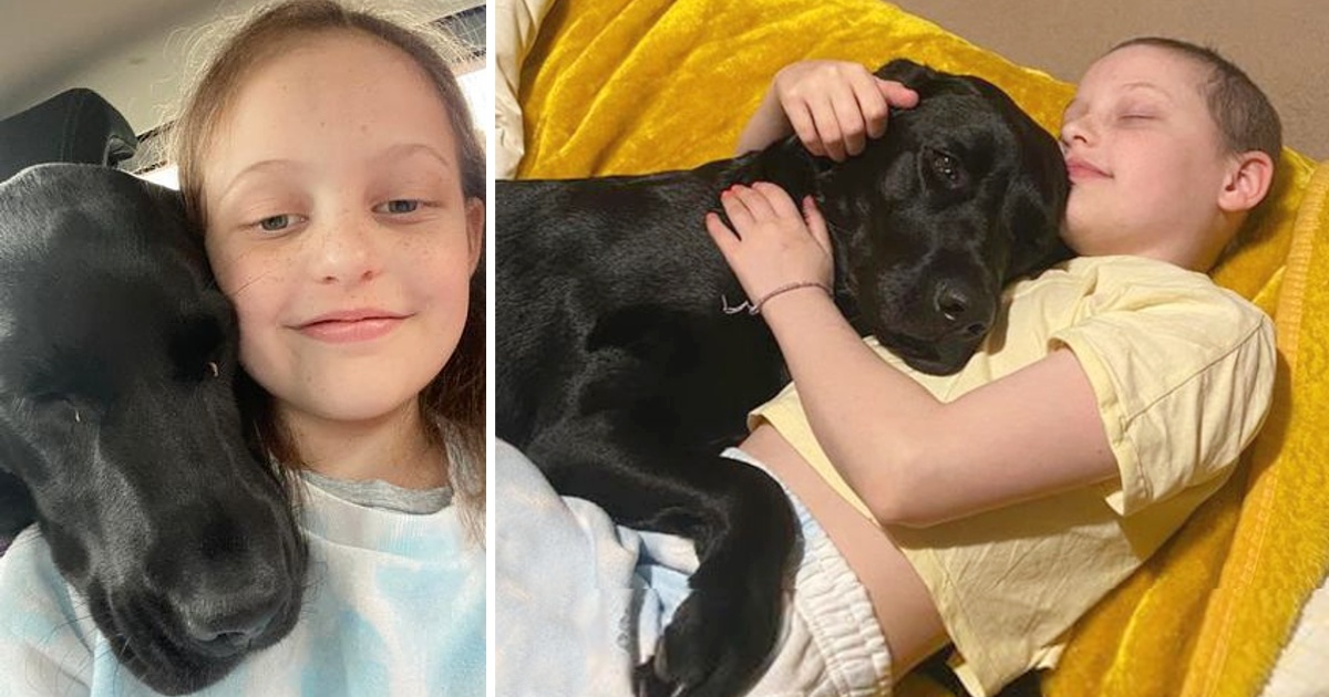 Labrador makes school girl with cancer smile and ‘forget about losing her hair’