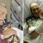 Elderly Sick Guy Noticed a Huge Difference After Being Reunited With His Adorable Dog