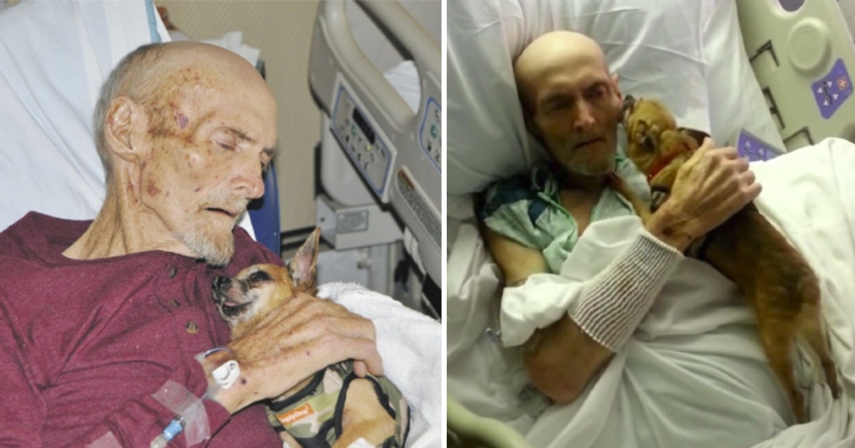 Elderly Sick Guy Noticed a Huge Difference After Being Reunited With His Adorable Dog