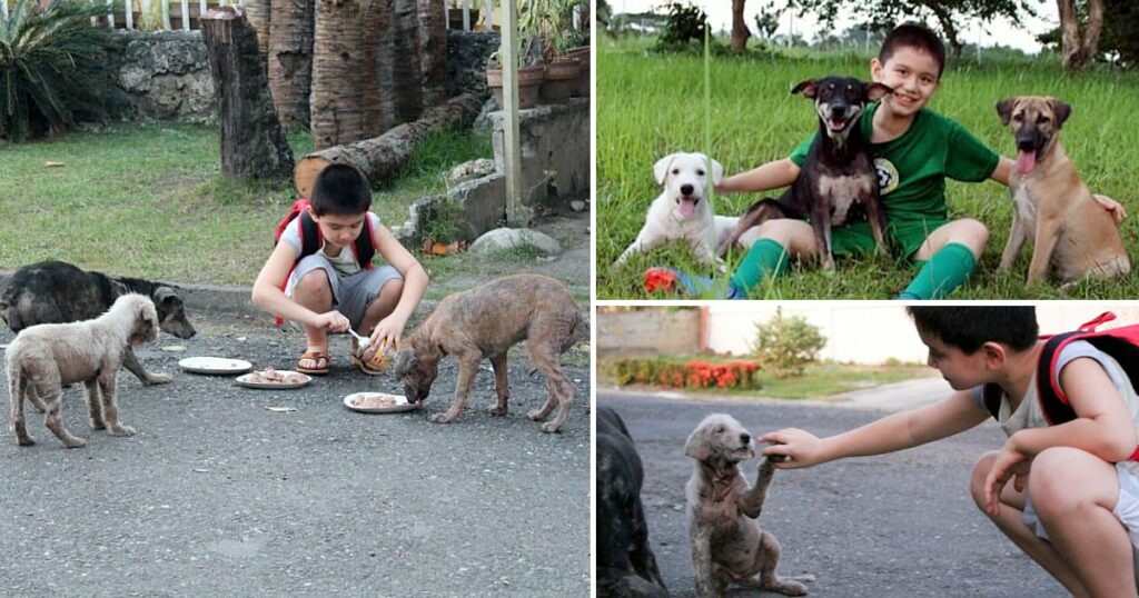 Dad finds out son has been secretly helping strays dogs, he couldn’t be more proud and joins him!