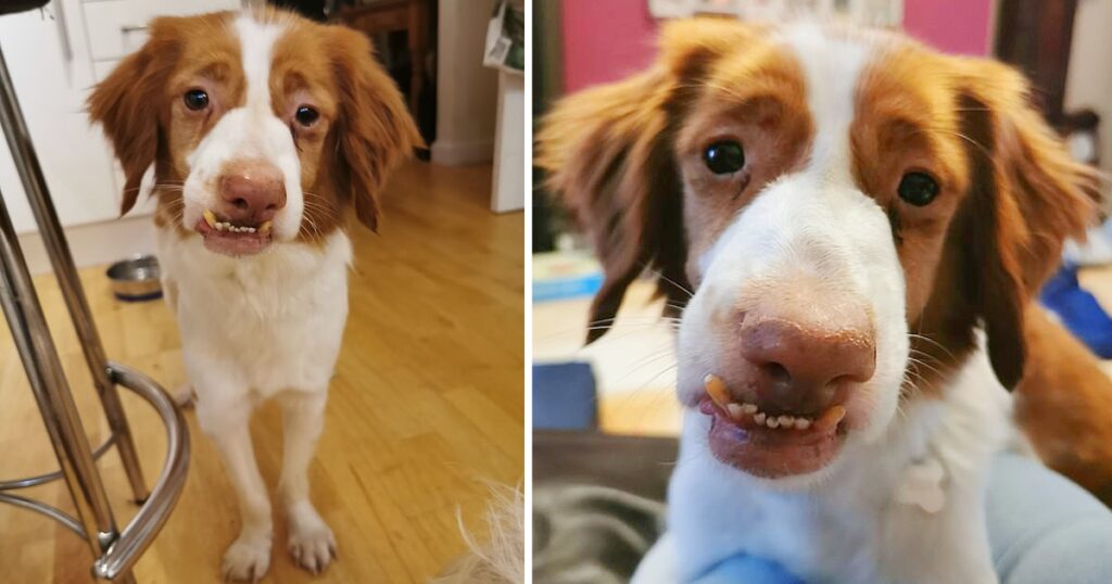 Left With A Wonky Face After Being Badly Abused, He Ached For Love & Acceptance