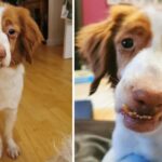 Left With A Wonky Face After Being Badly Abused, He Ached For Love & Acceptance