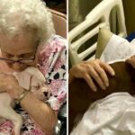 Heartwarming Sight: Nursing Home Residents Interacting with 8 Puppies Brings Pure Joy