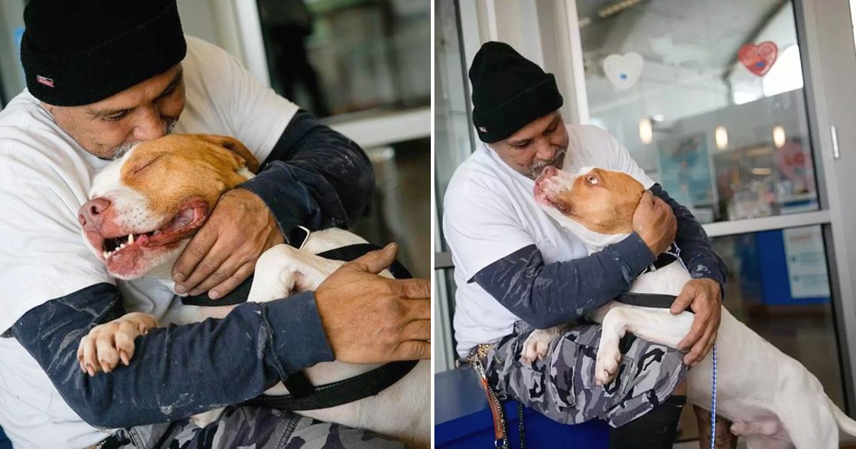 He keeps his promise to his dog, he was forced to give up 4 months ago but he came back for him