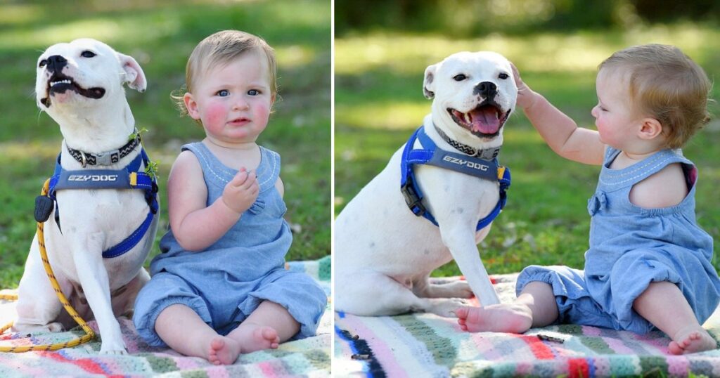 This is a beautiful story How a girl without an arm makes best friends with a dog without a paw