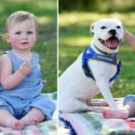 This is a beautiful story How a girl without an arm makes best friends with a dog without a paw