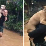 Man Carriеs His Dog on His Back To Savе Him From Flooding