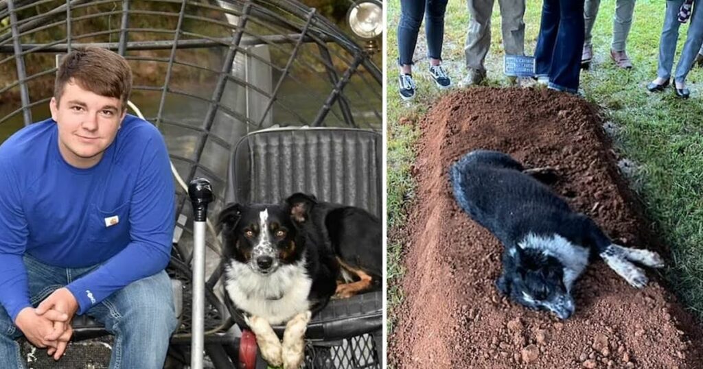 Heartbreaking moment captures a dog’s loyalty as he lies beside his master’s grave, demonstrating the unbreakable bond of love