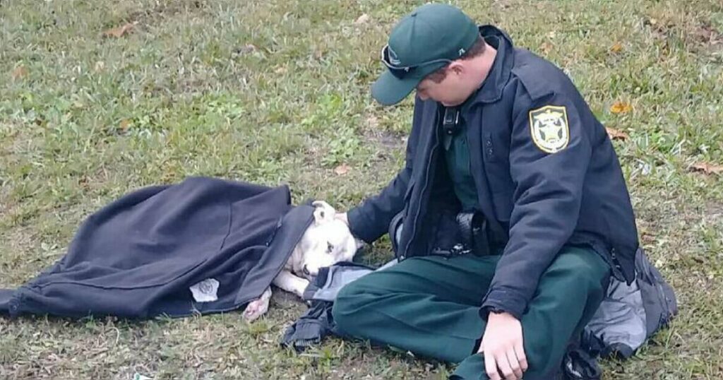 Florida Deputy Wraps His Jacket Around The Little Injured Dog Until Help Arrived!