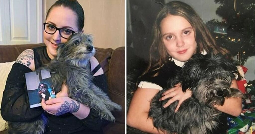 Woman Adopts A Senior Dog From Shelter, Only To Find Out He’s Her Childhood Buddy