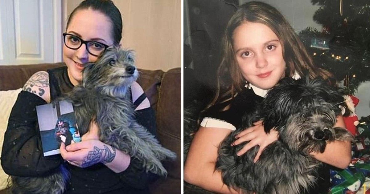 Woman Adopts A Senior Dog From Shelter, Only To Find Out He’s Her Childhood Buddy