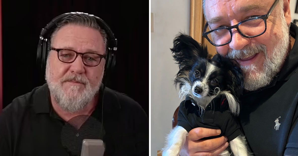 Russell Crowe Mourned The Death Of His Puppy To Tears: “We are somewhat devastated”