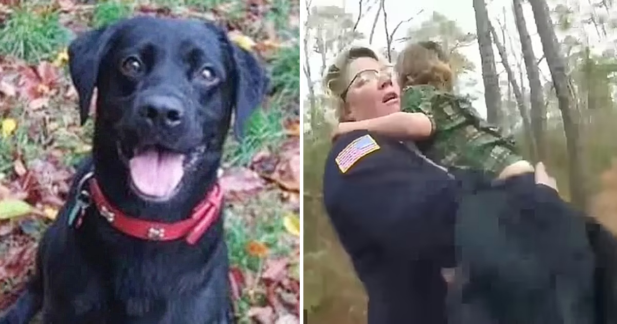 Missing Boy Found Safe In Woods With A Loyal Dog Who Never Left His Sides