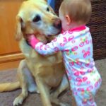 A cute dog gave a comforting hug to a boy who was crying