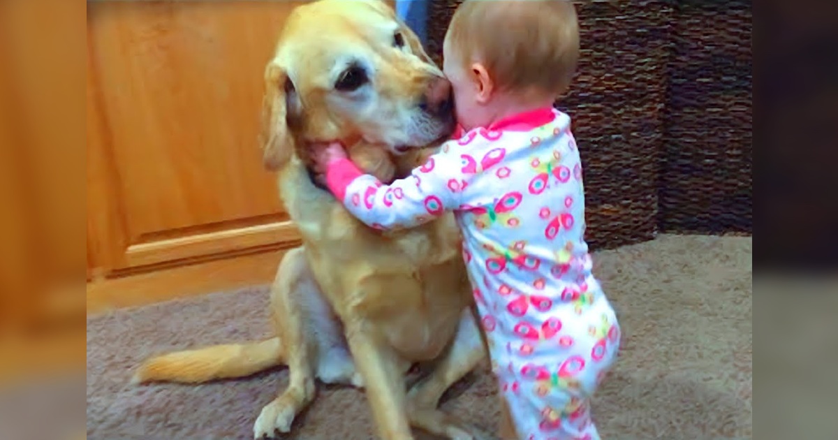 A cute dog gave a comforting hug to a boy who was crying