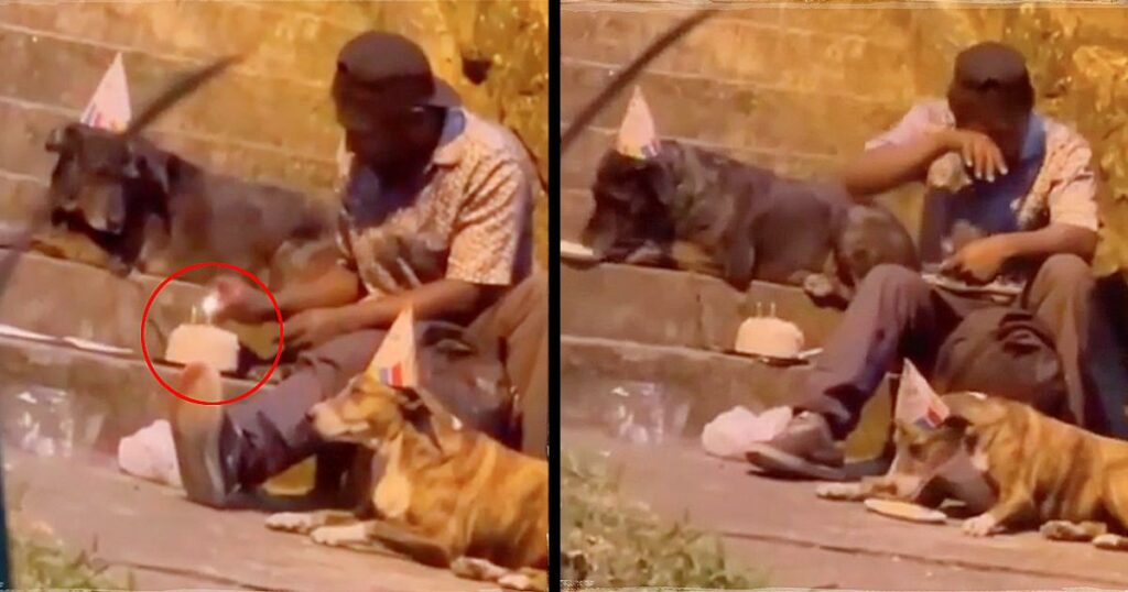 A kind homeless man celebrates the birthday of one of his dogs with a birthday cake, candles and party hats