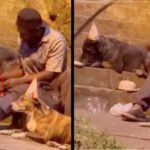 A kind homeless man celebrates the birthday of one of his dogs with a birthday cake, candles and party hats