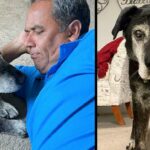 A Man Adopts A 16-Year-Old Dog, Ensuring That His Final Moments Be As Joyful As Possible