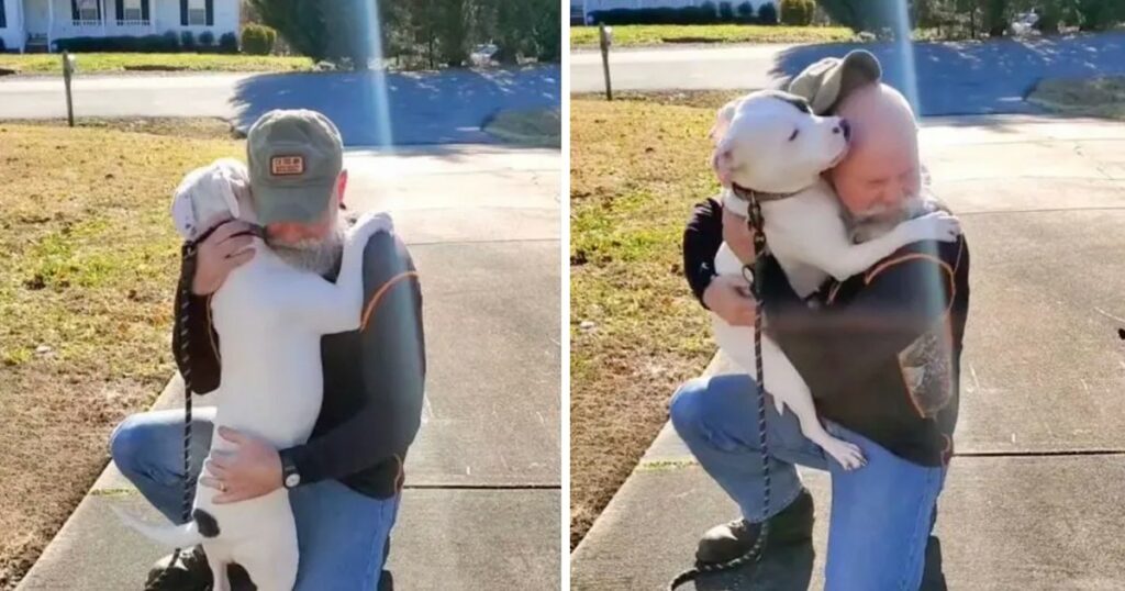 A Rescue Dog Meets Her New Human Dad And Can’t Stop Hugging Him