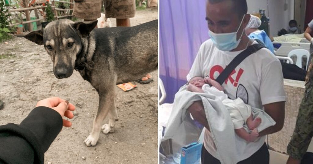 Brave Doggo Blocks Man’s Path & Refuses To Leave, Guides Him To Save Abandoned Baby Nearby