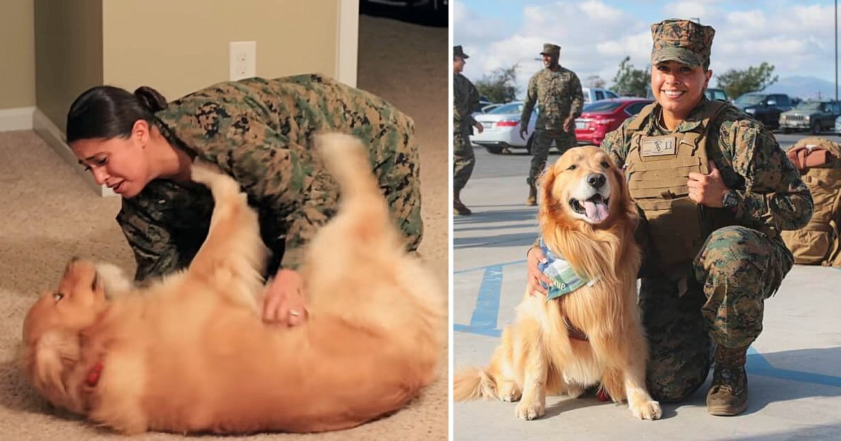 Dog Has Epic Reaction To His Marine Mom’s Surprise Homecoming