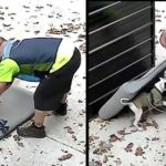 Amazon delivery man delayed his delivery to take care of dirty puppy