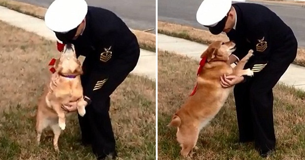 Cancer Stricken Dog Lives Just Long Enough to See Her Dad Again