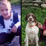 Boy Who Just Graduated And Beloved Dog Recreate Photo From First Day Of School