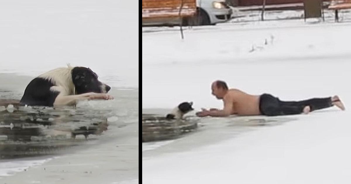 Braνe Man Runs Onto Icy Pond With No Shoes Or Shirt To Save Drowning Dog