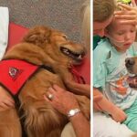 Boy With Brain Injury Won’t Wake Up, Family Says Goodbye, As Dog Lay On Top Of Him And A miracle Has Happened