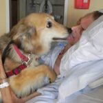 A man’s last wish to kiss and say goodbye to his beloved dog has touched relatives