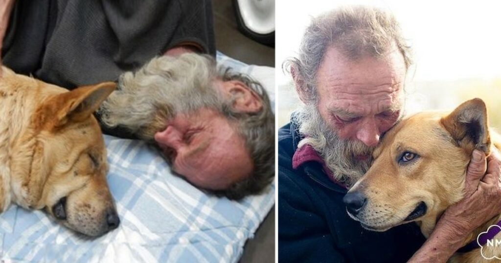 Christmas Miracle Happens for a Homeless Man and His Injured Dog