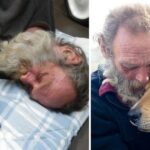 Christmas Miracle Happens for a Homeless Man and His Injured Dog