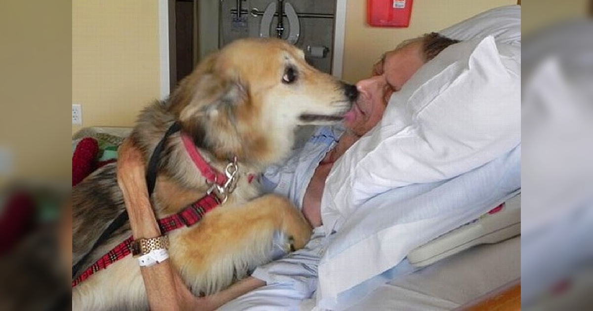 A man’s last wish to kiss and say goodbye to his beloved dog has touched relatives