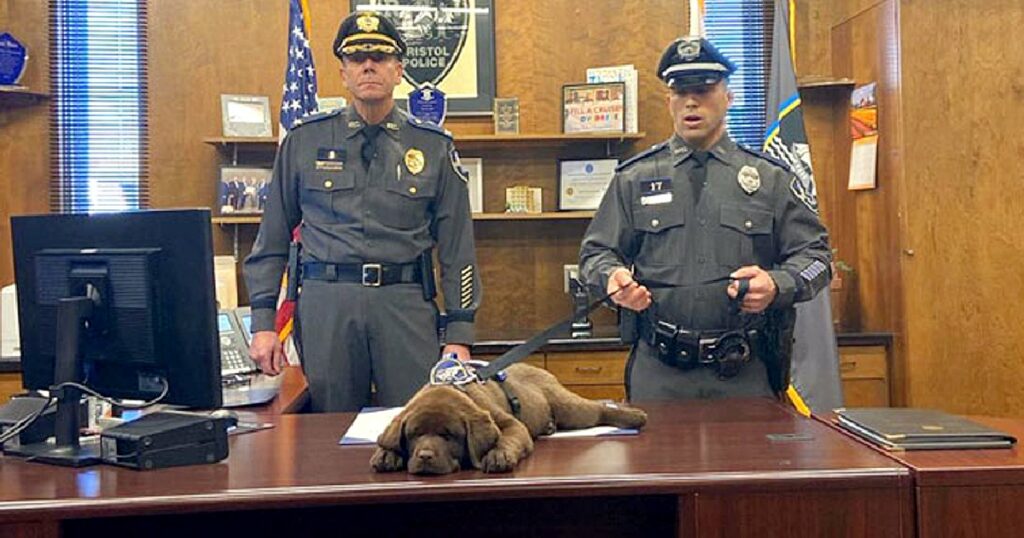 K-9 Puppy Sleeps Through His Entire Swearing-In Ceremony