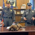 K-9 Puppy Sleeps Through His Entire Swearing-In Ceremony