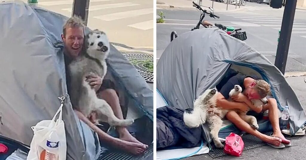 Heartwarming tale: Rescued dog finds solace and a loving home with a compassionate man living on the streets