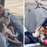 Heartwarming tale: Rescued dog finds solace and a loving home with a compassionate man living on the streets