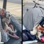 A dog forms a heartwarming bond with a homeless man, creating a companionship that brings joy and solace to both.