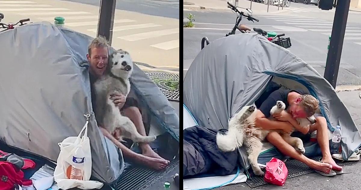 A dog forms a heartwarming bond with a homeless man, creating a companionship that brings joy and solace to both.