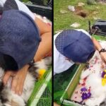 Dog Owner Bids Goodbye To ‘His Son’ In Heartbreaking Moment