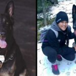 Dog wears a bow tie everywhere he goes so that people aren’t afraid of him