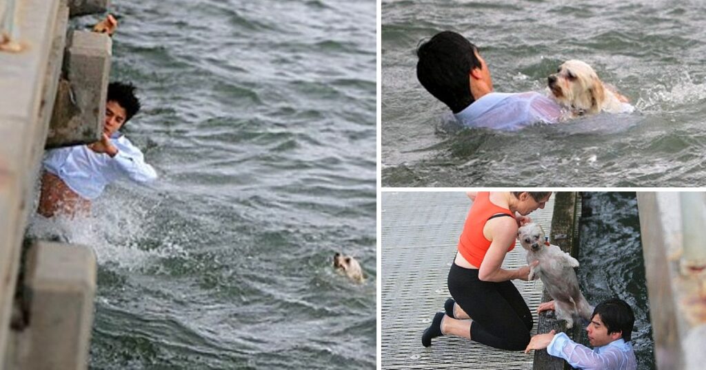 A 20-year-old man jumped into the cold sea to save a drowning dog’s life