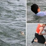 A 20-year-old man jumped into the cold sea to save a drowning dog’s life