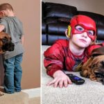 The dog volunteered with the little owner to overcome his mother’s punishment
