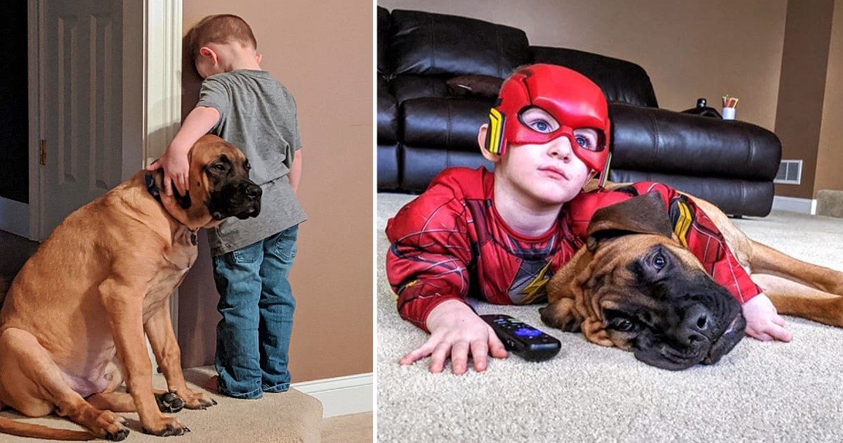 The dog volunteered with the little owner to overcome his mother’s punishment