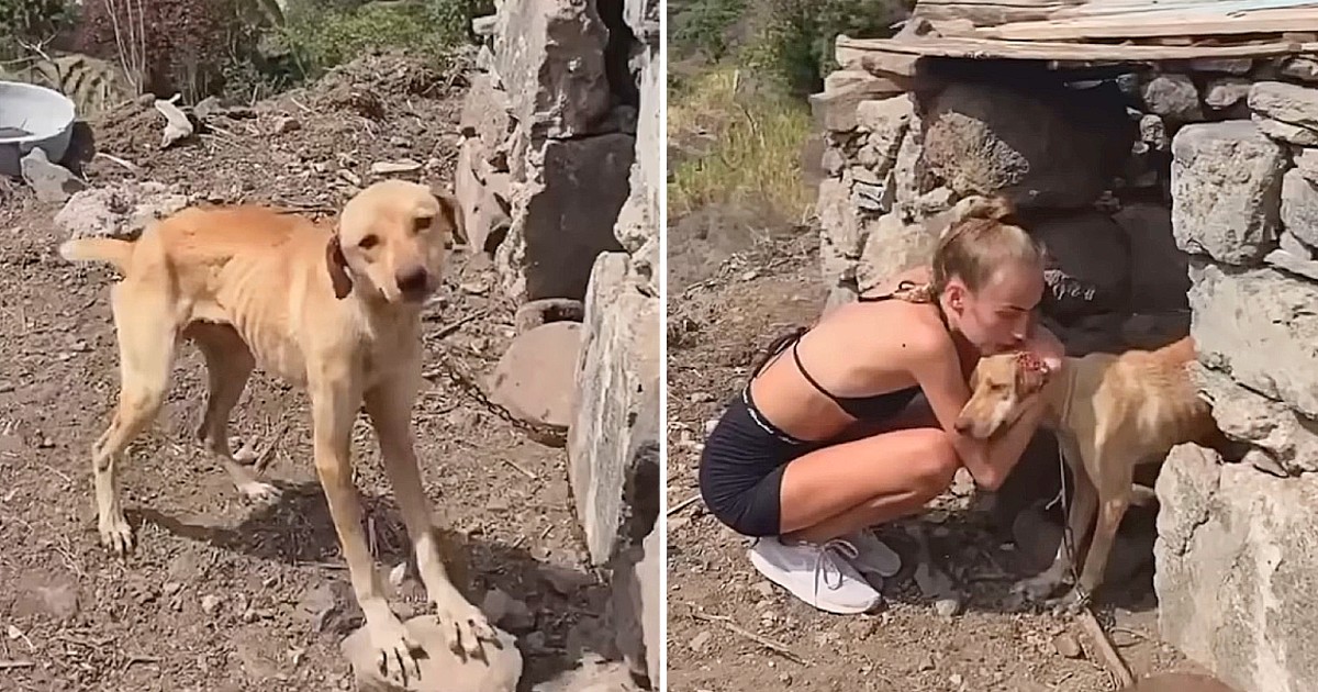 He Was Abandoned on the Mountain for Several Years