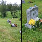 Emotional Puppy Knows Exactly Which Grave Is For His Passed Away Grandma.