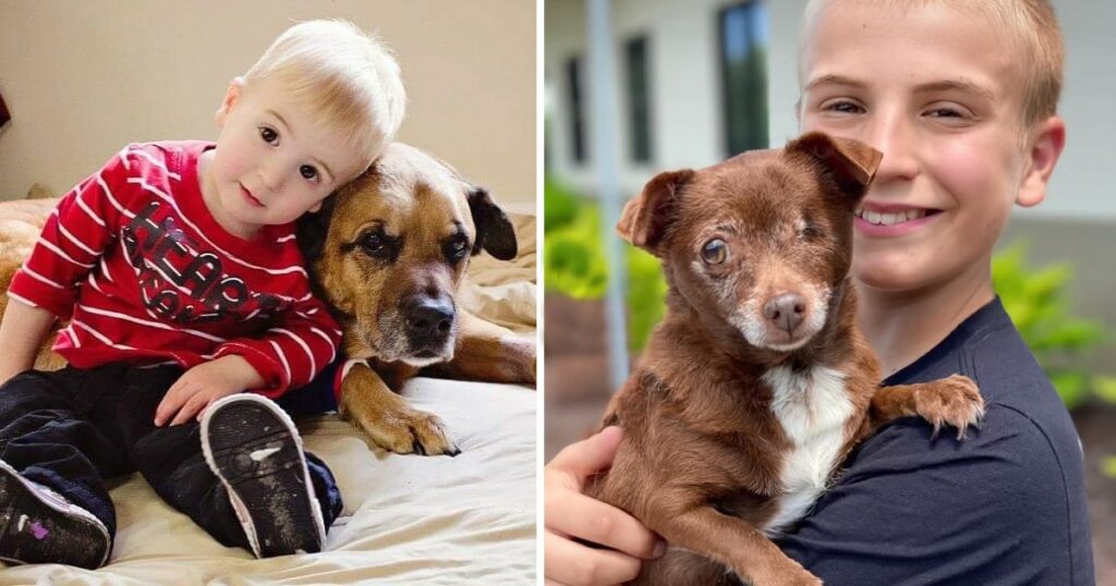 Incredible 12-year-old Kid Has Saved 4,800 Shelter Dogs