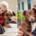 Incredible 12-year-old Kid Has Saved 4,800 Shelter Dogs